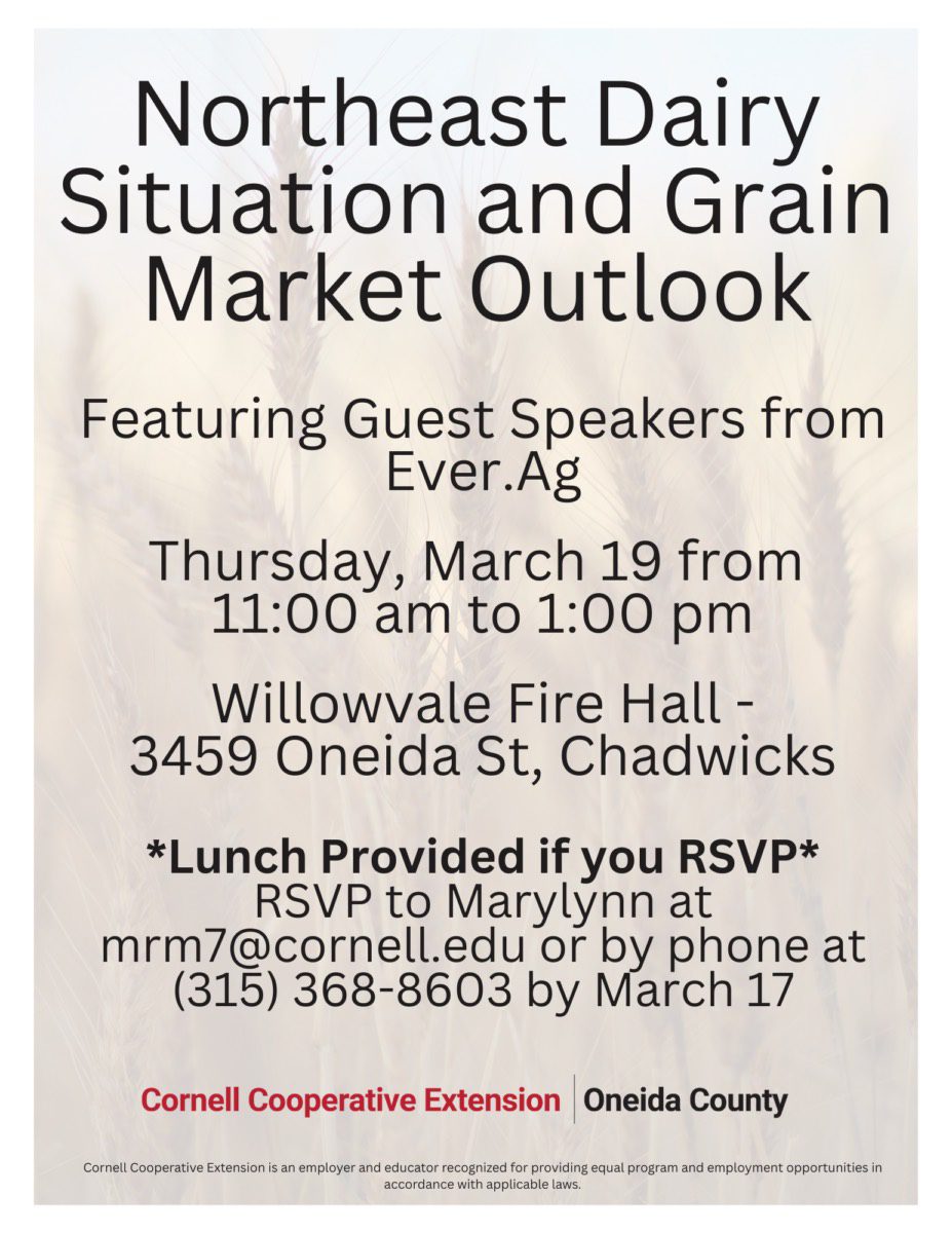 Northeast Dairy Situation and Grain Market Outlook