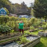 Amanda Norton, Master Gardener Volunteer