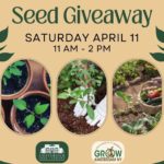Seed Giveaway at the Amsterdam Free Library