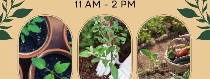 Seed Giveaway at the Amsterdam Free Library