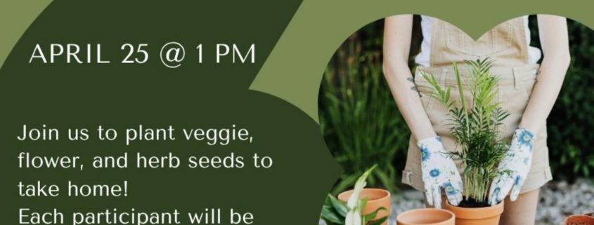 Gloversville Library Seed Starting Workshop