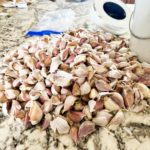 Separate the cloves.