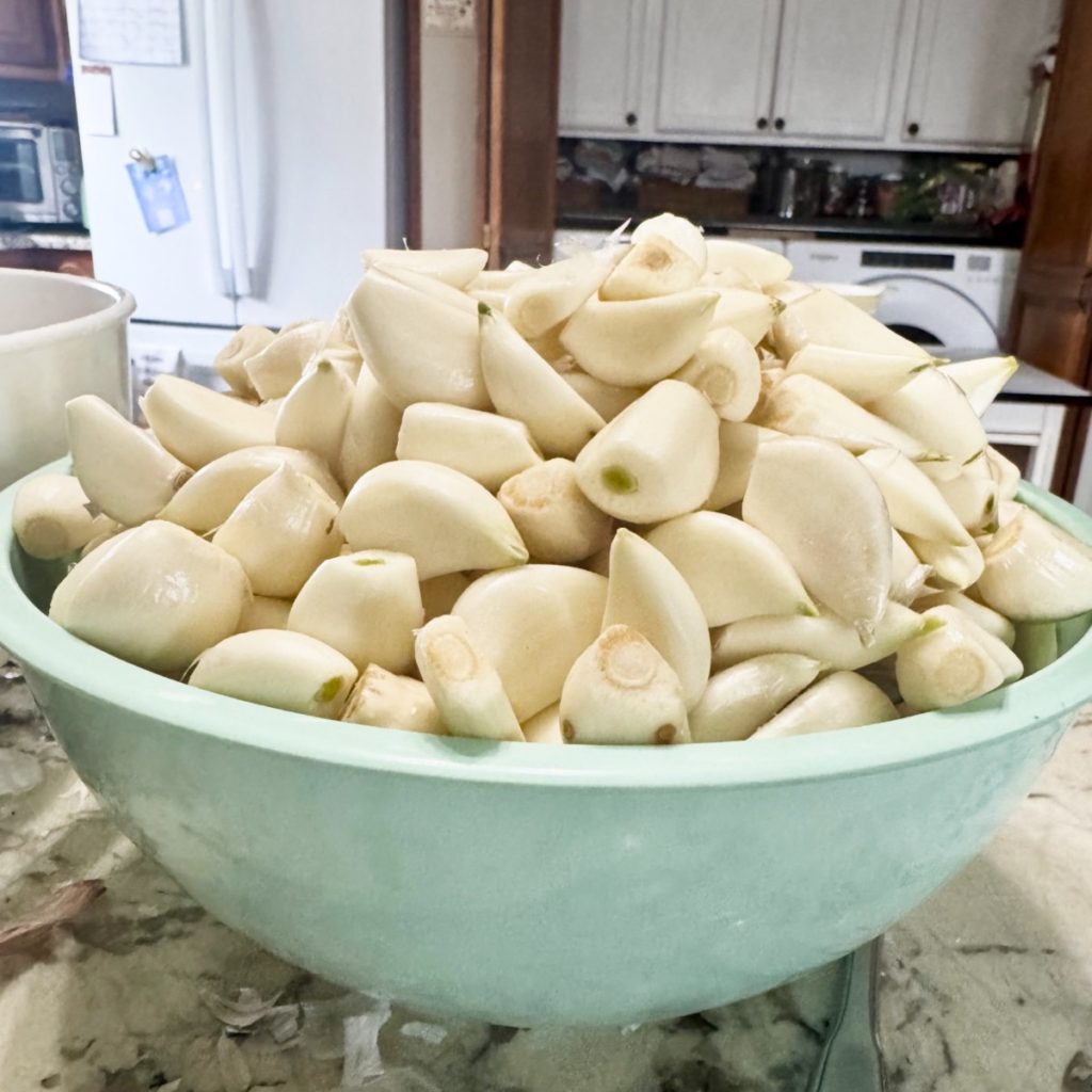 Peel the cloves and trim as needed.