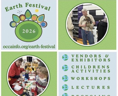 Earth Festival