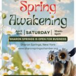 Sharon Sprigs Spring Awakening