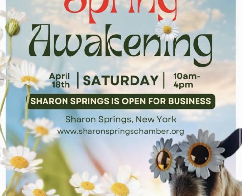 Sharon Sprigs Spring Awakening