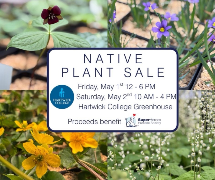 Hartwick College 2026 Native Plant Sale
