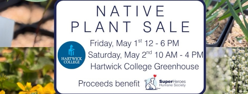 Hartwick College 2026 Native Plant Sale