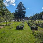 Ilion Community Garden June 2024