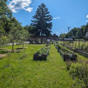 Ilion Community Garden June 2024