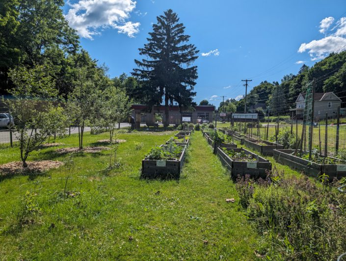 Ilion Community Garden June 2024