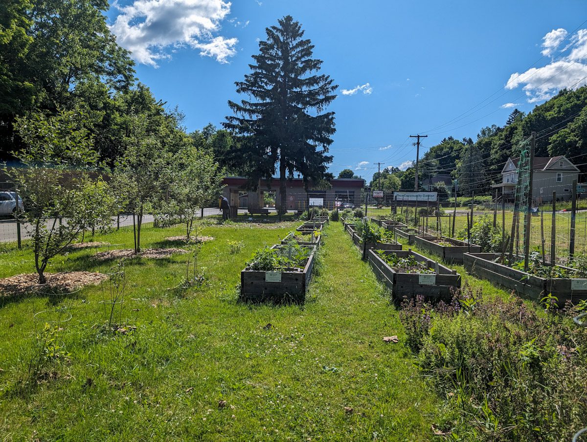 Ilion Community Garden June 2024