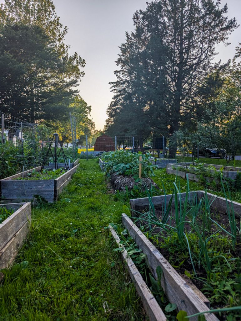 Ilion Community Garden Ilion Community Garden