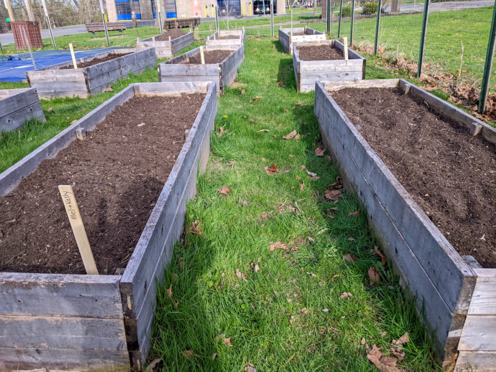 Ilion Community Garden May 2022 Ilion Community Garden May 2022