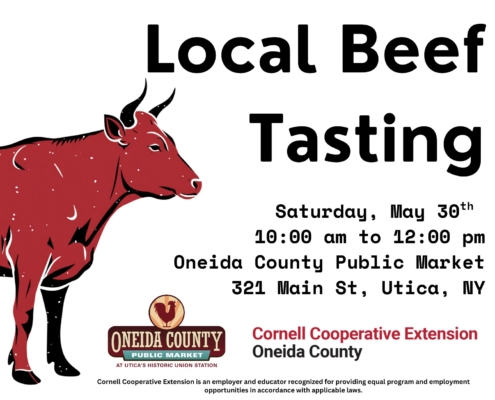 Beef Day at Oneida County Public Market