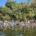 Erie Canalway National Heritage Corridor signature paddling event: Paddle the Canals