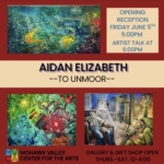 MVCA Opening Reception: Aidan Elizabeth