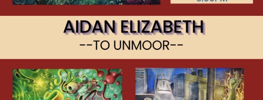 Aiden Elizabeth Opening Reception at MVCA