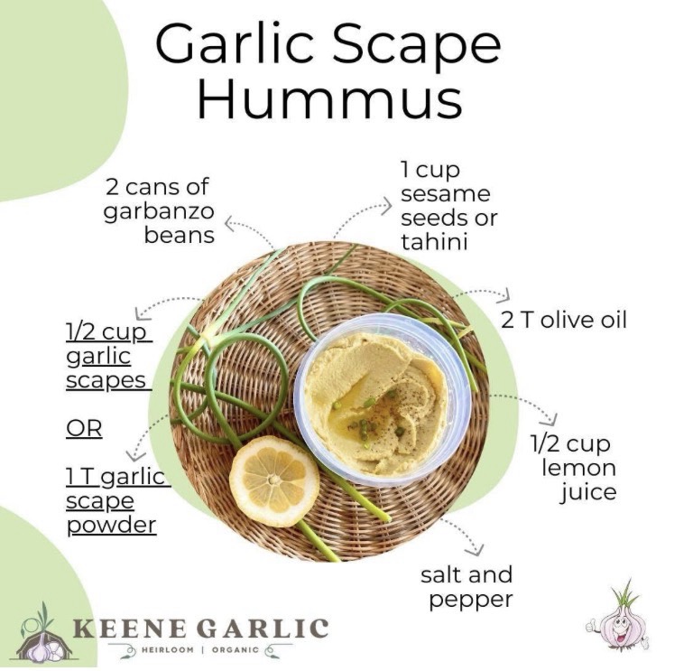 Garlic Scape Hummus Recipe from Keene Garlic