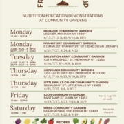 Herkimer County Veggie Van and From the Ground Up Program