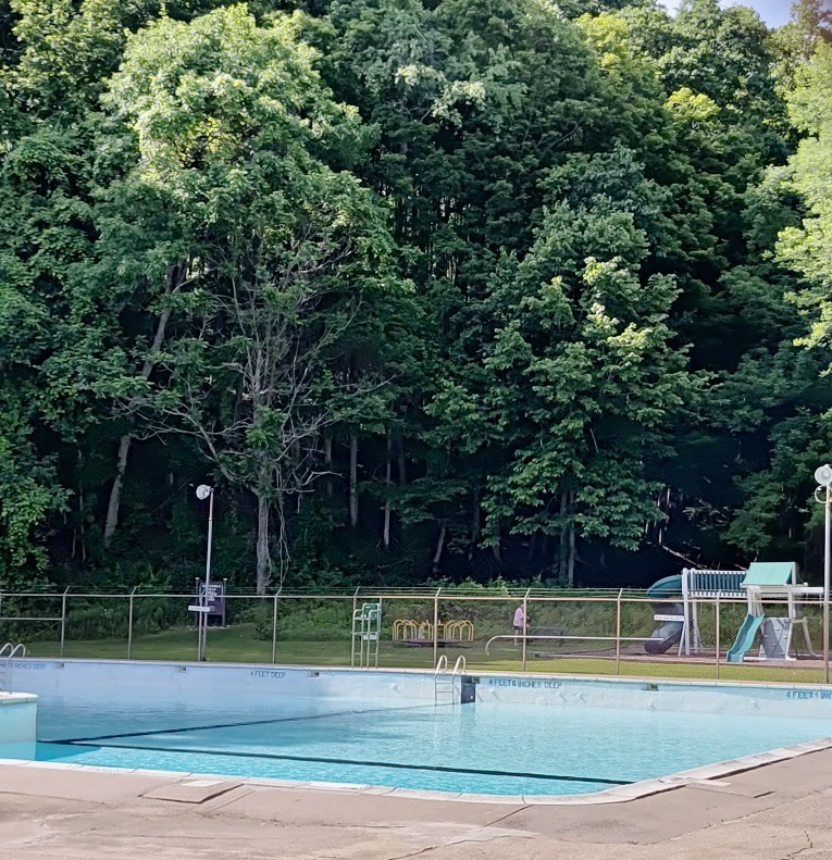 Francis Skinner Municipal Pool