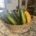 Zucchini Recipes from Nancy Noonan