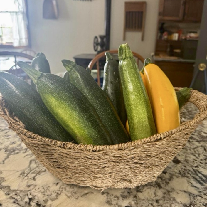 Zucchini Recipes from Nancy Noonan Zucchini Recipes from Nancy Noonan