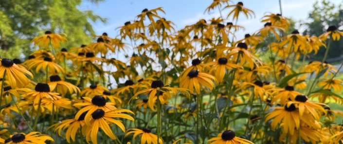 Mohawk Valley Today Featured Weekend Events