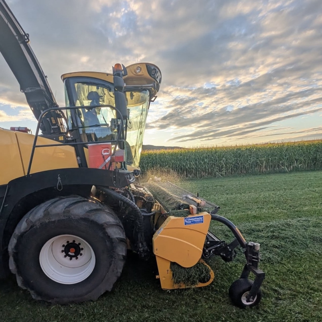 Grain. Photo by Bridgewater Farms LLC. Grain. Photo by Bridgewater Farms LLC.