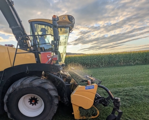 Grain. Photo by Bridgewater Farms LLC.