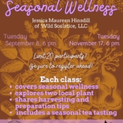 Seasonal Wellness