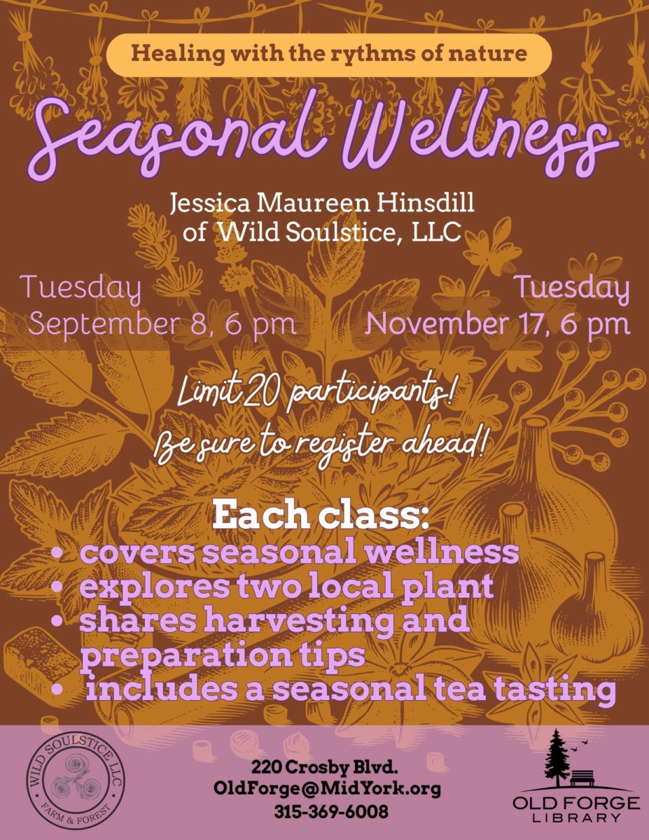 Seasonal Wellness Sessions with Jessica Maureen Hinsdill at the Old Forge Library