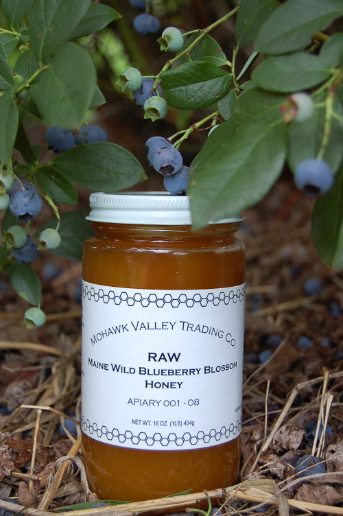 raw-blueberry blossom honey-mohawk-valley-trading-company