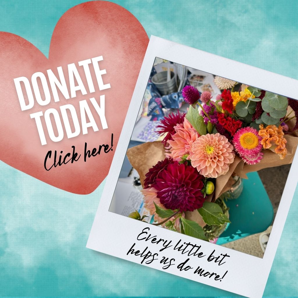 Donate and Support Mohawk Valley Today
