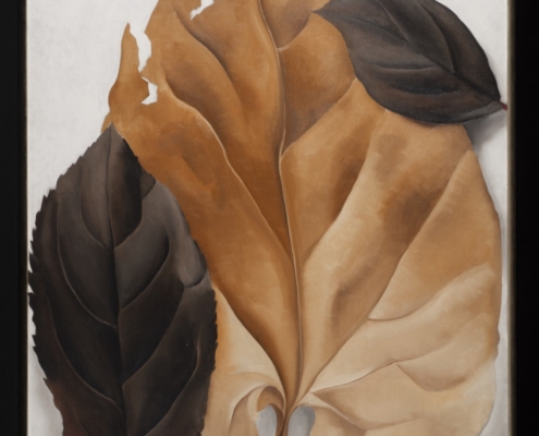 “Brown and Tan Leaves”, 1928 by Georgia O’Keeffe 2023 Georgia O’Keeffe Museum/ Artist Rights Society (ARS), New York. Collection of Fenimore Art Museum, Cooperstown, New York. N0014.2023.