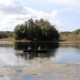 Pine Lake at Hartwick College
