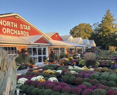 North Star Orchards
