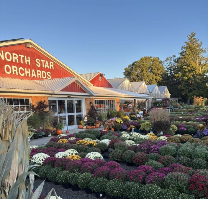 North Star Orchards North Star Orchards