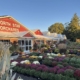 North Star Orchards